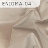 Enigma-04 